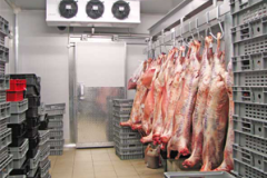 cold-room-fresh-meat