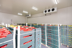 cold-storage-warehouse
