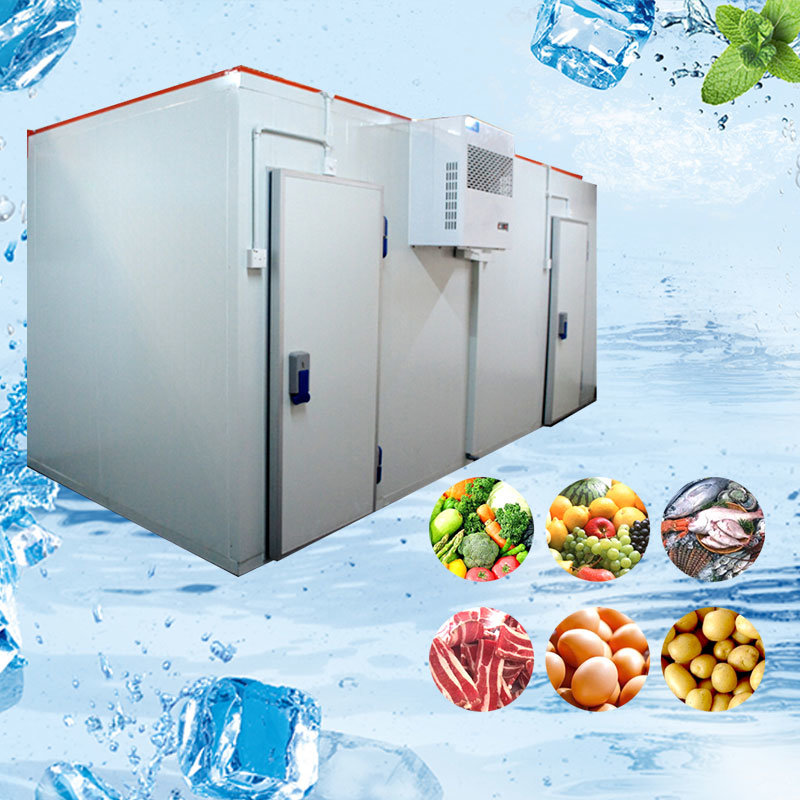 Cold Storage Services in Kenya.